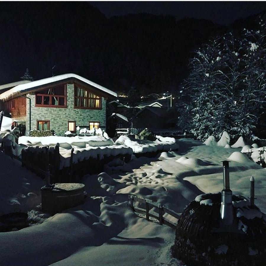 La Tana Dell'Orso Hotel & Spa Ponte Di Legno Bagian luar foto